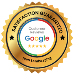 google INSIGNIAS (2) google INSIGNIAS (2)